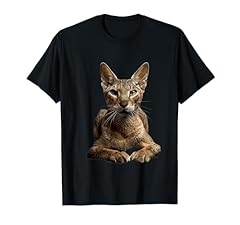 Gatto orientale pelo usato  Spedito ovunque in Italia 