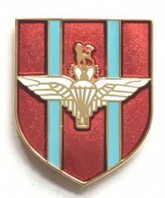 Paratroops paras parachute for sale  Delivered anywhere in UK