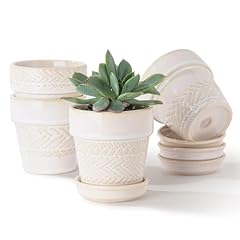 Fayoula succulent pots for sale  Delivered anywhere in USA 