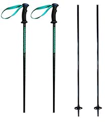 Composite power ski for sale  Delivered anywhere in USA 