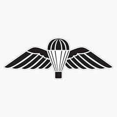 Parachute wings parachutist for sale  Delivered anywhere in USA 