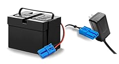 12v battery charger for sale  Delivered anywhere in USA 