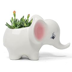 Dashare adorable ceramic for sale  Delivered anywhere in USA 