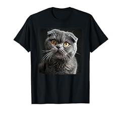 Scottish fold cats for sale  Delivered anywhere in USA 