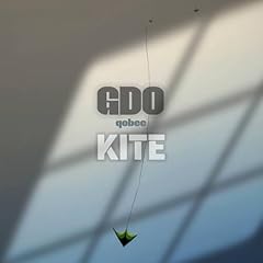 Kite explicit usato  Spedito ovunque in Italia 