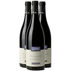 Pommard noizons rouge d'occasion  Livré partout en France