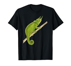 Pet jackson chameleon for sale  Delivered anywhere in USA 