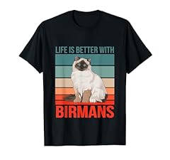 Gatto sacro birmania usato  Spedito ovunque in Italia 