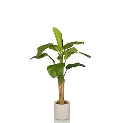 Hjh office plante d'occasion  Livré partout en France