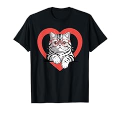 Cuore exotic shorthair usato  Spedito ovunque in Italia 