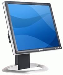 Dell inch lcd for sale  Delivered anywhere in USA 