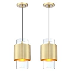 Light hanging indoor for sale  Delivered anywhere in USA 