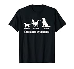 Labrador retriever evolution for sale  Delivered anywhere in USA 