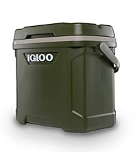 Igloo cooler plythyln for sale  Delivered anywhere in USA 