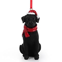 Black labrador retriever for sale  Delivered anywhere in USA 