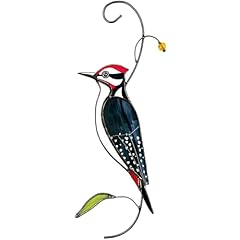 Auroaura woodpecker stained for sale  Delivered anywhere in USA 