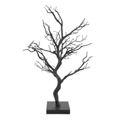 Ashland black tree for sale  Delivered anywhere in USA 
