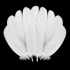 Pmyumao 300pcs white for sale  Delivered anywhere in USA 