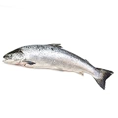 Whole fresh salmon for sale  Delivered anywhere in UK