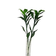 Inch artificial plants for sale  Delivered anywhere in USA 