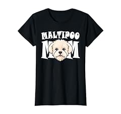 Maltipoo mom cute for sale  Delivered anywhere in USA 