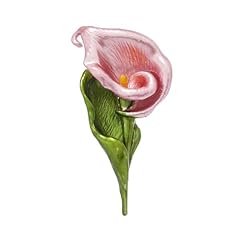 Pink calla lily for sale  Delivered anywhere in USA 