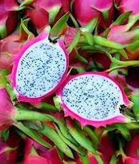 White dragon fruit for sale  Delivered anywhere in USA 