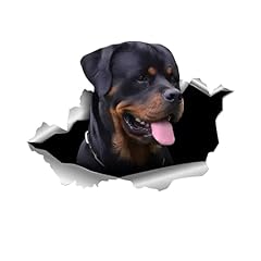 Autocollant voiture rottweiler d'occasion  Livré partout en Belgiqu