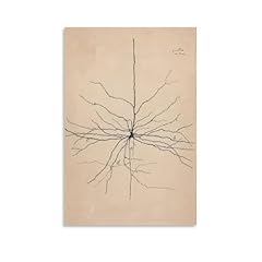 Pyramida neuron drawing for sale  Delivered anywhere in USA 