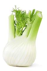 Curious fennel 250g for sale  Delivered anywhere in UK