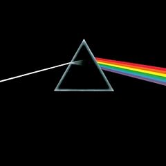 The dark side usato  Spedito ovunque in Italia 