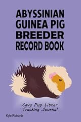 Abyssinian guinea pig for sale  Delivered anywhere in USA 