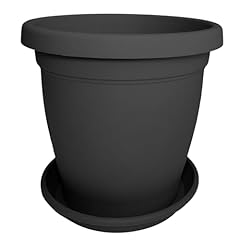 Sicignano vaso verona usato  Spedito ovunque in Italia 