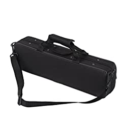 Estink flute cases for sale  Delivered anywhere in USA 
