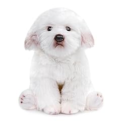 Lilizzhoumax cane maltese usato  Spedito ovunque in Italia 