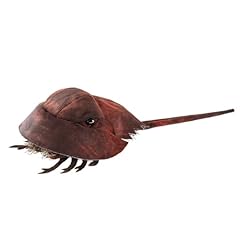 Folkmanis horsehoe crab for sale  Delivered anywhere in USA 