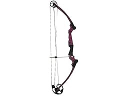 Genesis bows purple for sale  Delivered anywhere in USA 