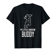 Chihuahua buddy chihuahua for sale  Delivered anywhere in USA 