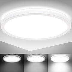 Licht led deckenlampe gebraucht kaufen  Wird an jeden Ort in Deutschland