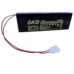 Skb batteria piombo usato  Spedito ovunque in Italia 