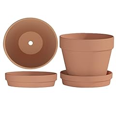Fcacti inch large for sale  Delivered anywhere in USA 