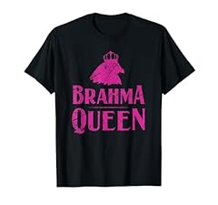 Brahma queen poules d'occasion  Livré partout en France