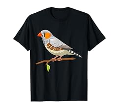 Zebra finch bird for sale  Delivered anywhere in USA 