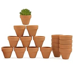 Fcacti mini terracotta for sale  Delivered anywhere in USA 