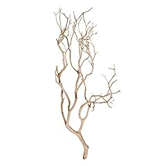 Vickerman manzanita tree for sale  Delivered anywhere in USA 