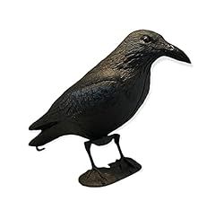 Gmm corvo nero usato  Spedito ovunque in Italia 