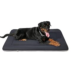 Magic dog large for sale  Delivered anywhere in USA 