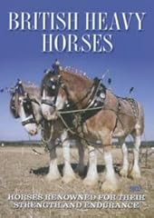 British heavy horses for sale  Delivered anywhere in UK