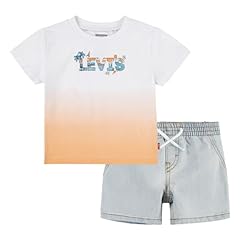 Levi tee and usato  Spedito ovunque in Italia 