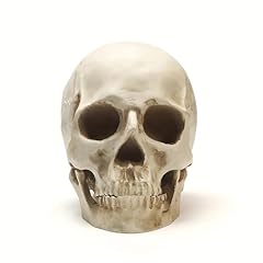 Soach resin skull for sale  Delivered anywhere in USA 